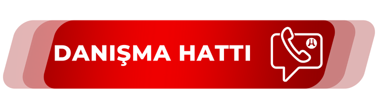 Anket3
